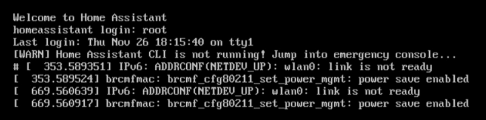 [WARN] Home Assistant CLI is not running! Jump into emergency console...