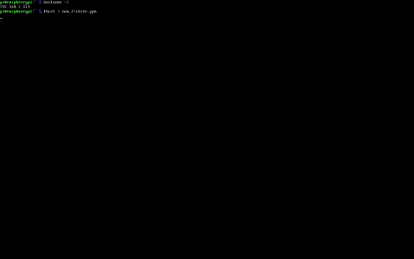 fbcat