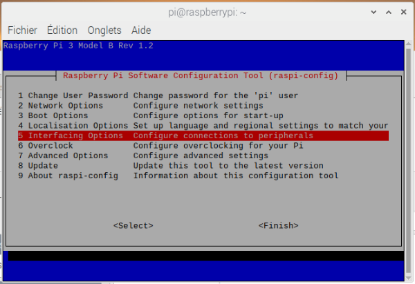 raspi-config